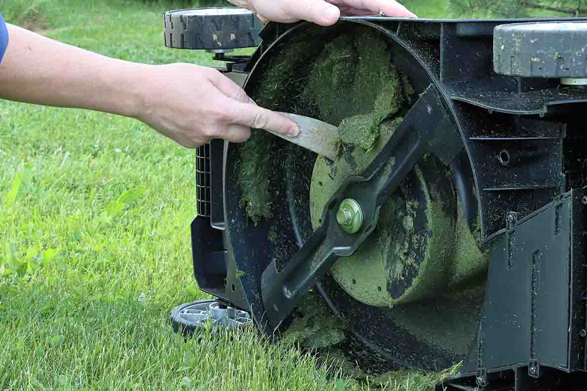 Stunning Long-Term Lawn Mower Clippings Health image